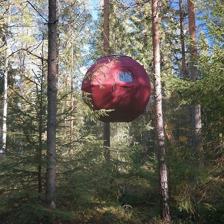 Naesets Marcusgard Villa Furudal Екстериор снимка